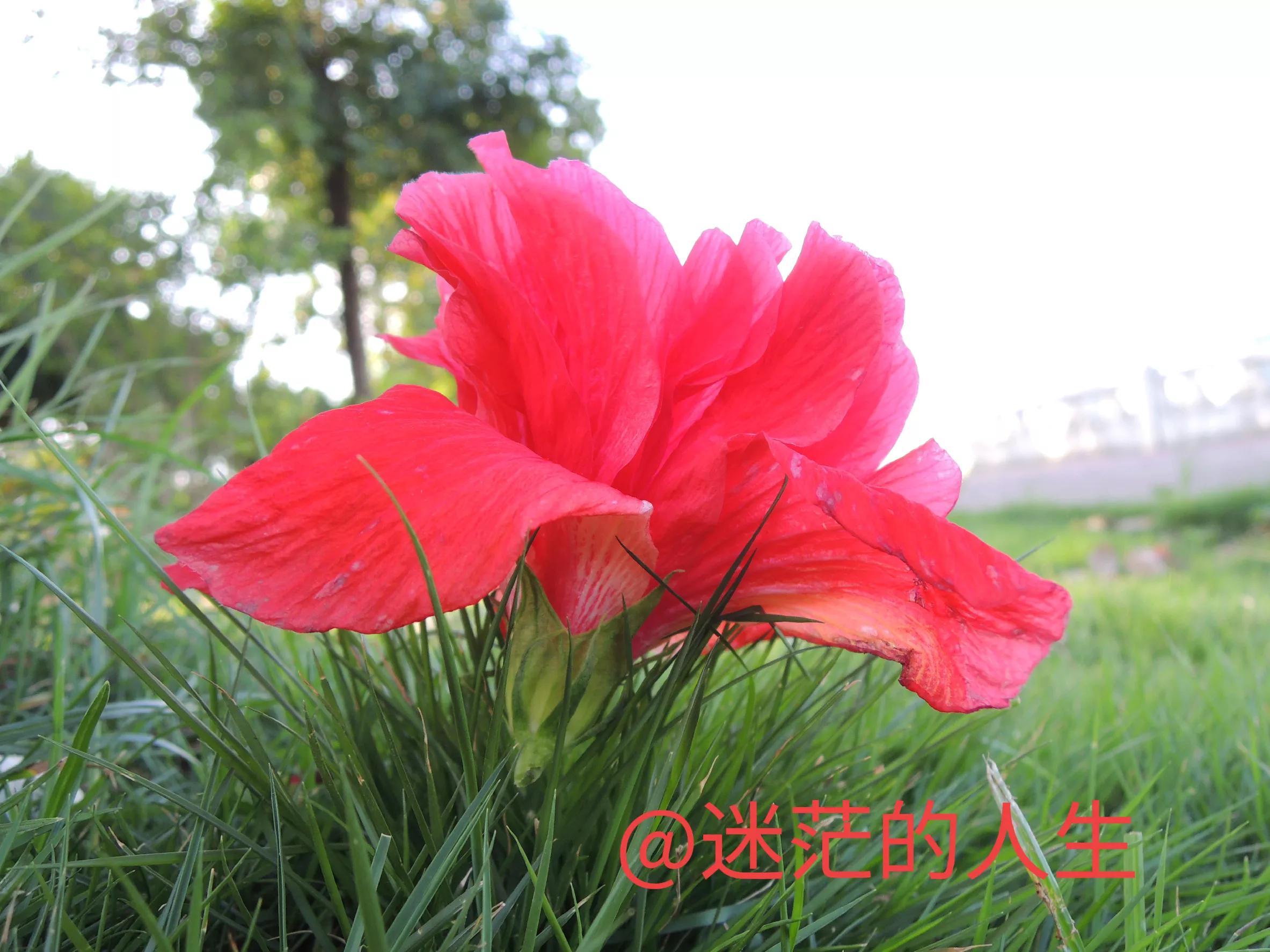单身好还是结婚好,哪个是你想要的?